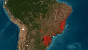 desmatamento-na-mata-atlantica-cai-59%-nos-primeiros-oito-meses-de-2023,-aponta-boletim